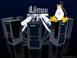 Linux hosting