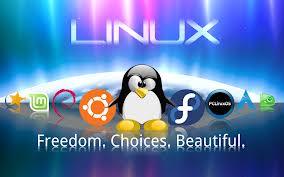 Linux Hosting