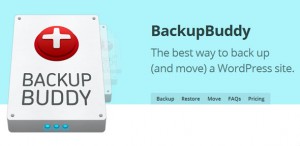 BackupBuddy-v5.0.3.3-Back-up