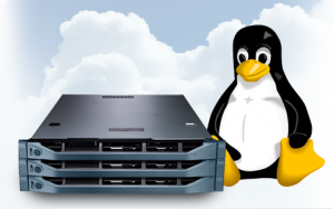 linux cloud server hosting